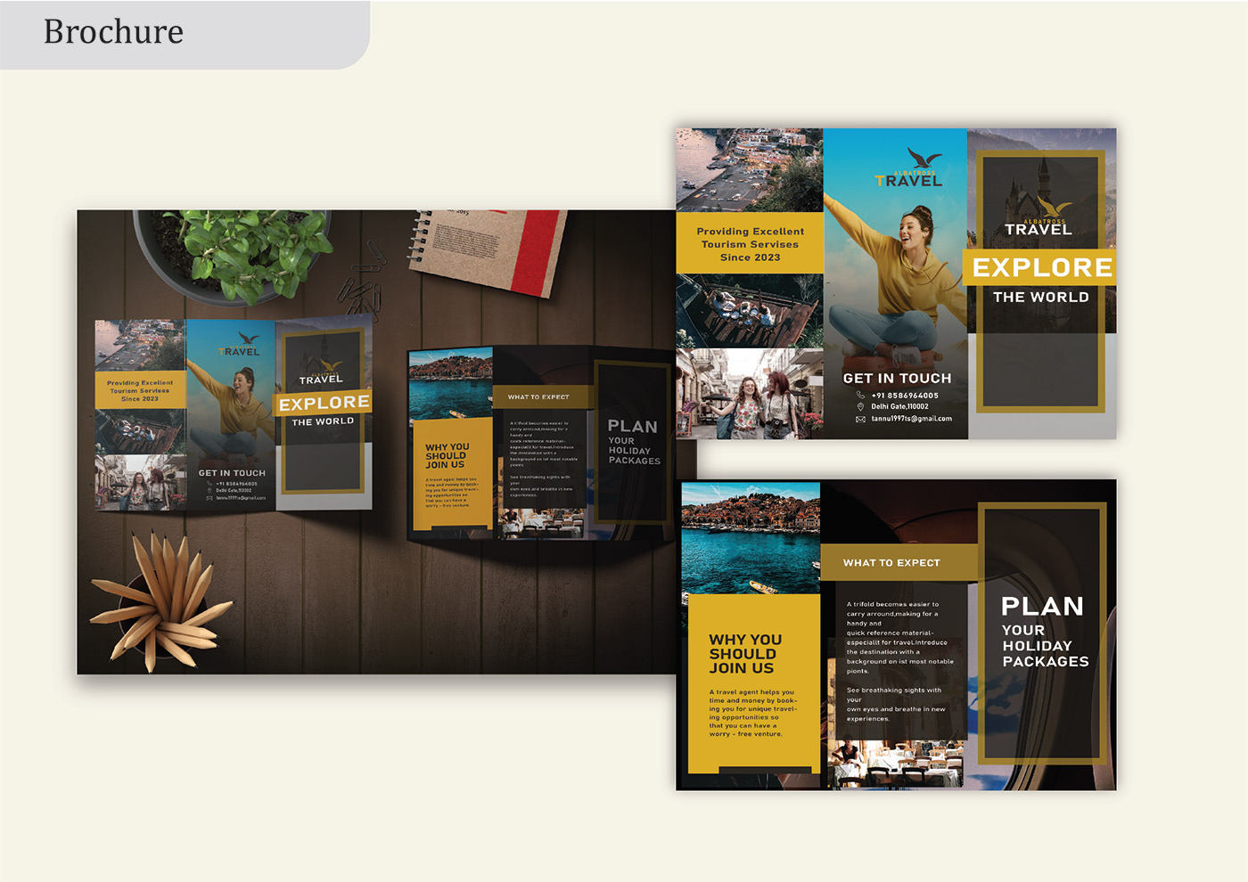 graphic design  brochure Travelling albatross