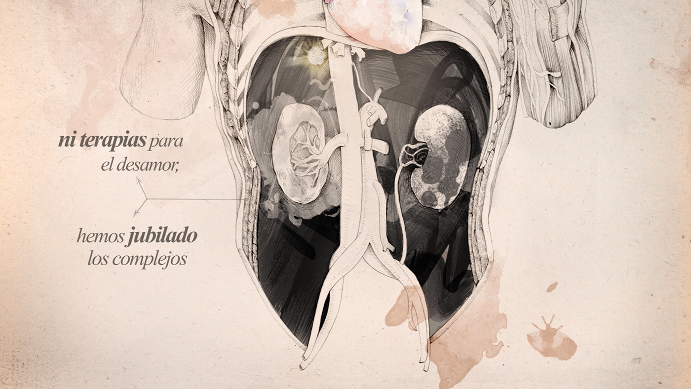 anatomia anatomy anatomy art Art Heart arte anatomico corazon heart ilustracion video lyrics