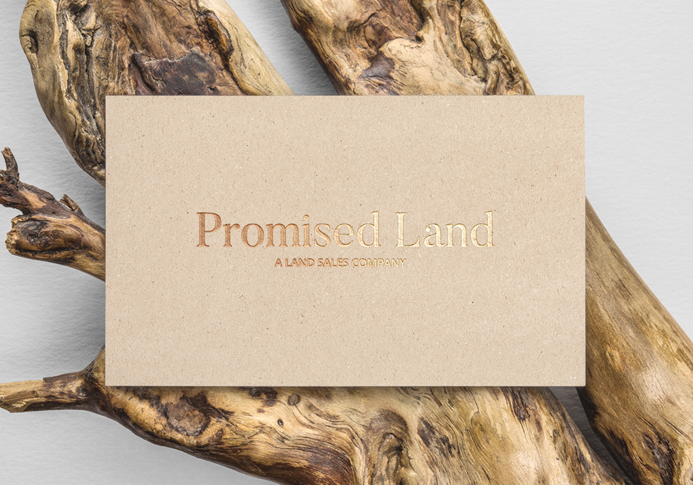 land sale real estate branding  Corporate Design design logo Business Cards comapny