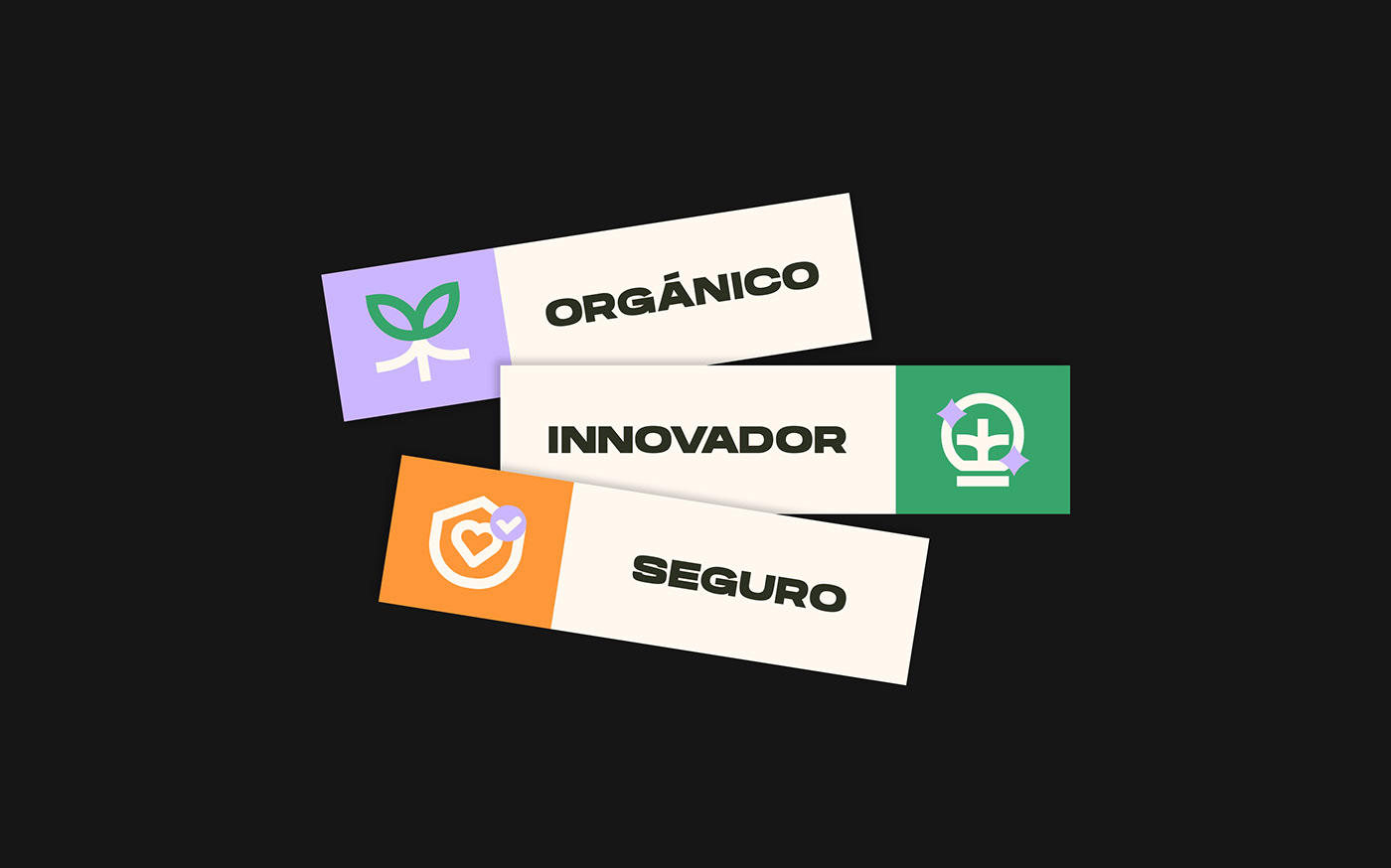 branding  diseño de identidad diseño gráfico graphic design  identidad identity logo Logotipo Logotype redes sociales