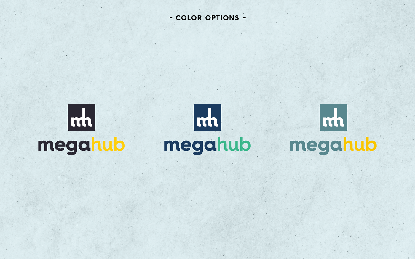 megahub branding  Fashion  logo