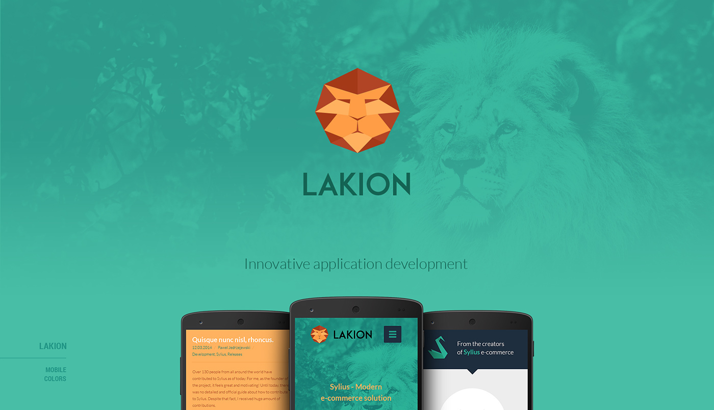 agency brochure cards lakion lion logo brand Web Responsive poland