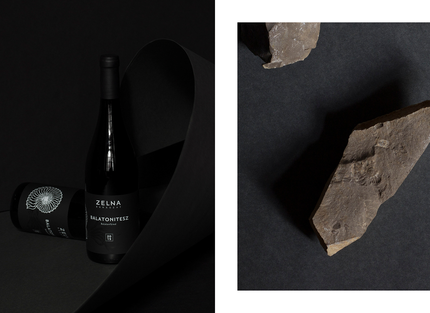 wine label winery ammonites Fossil package design  stone vineyard premium quality wine