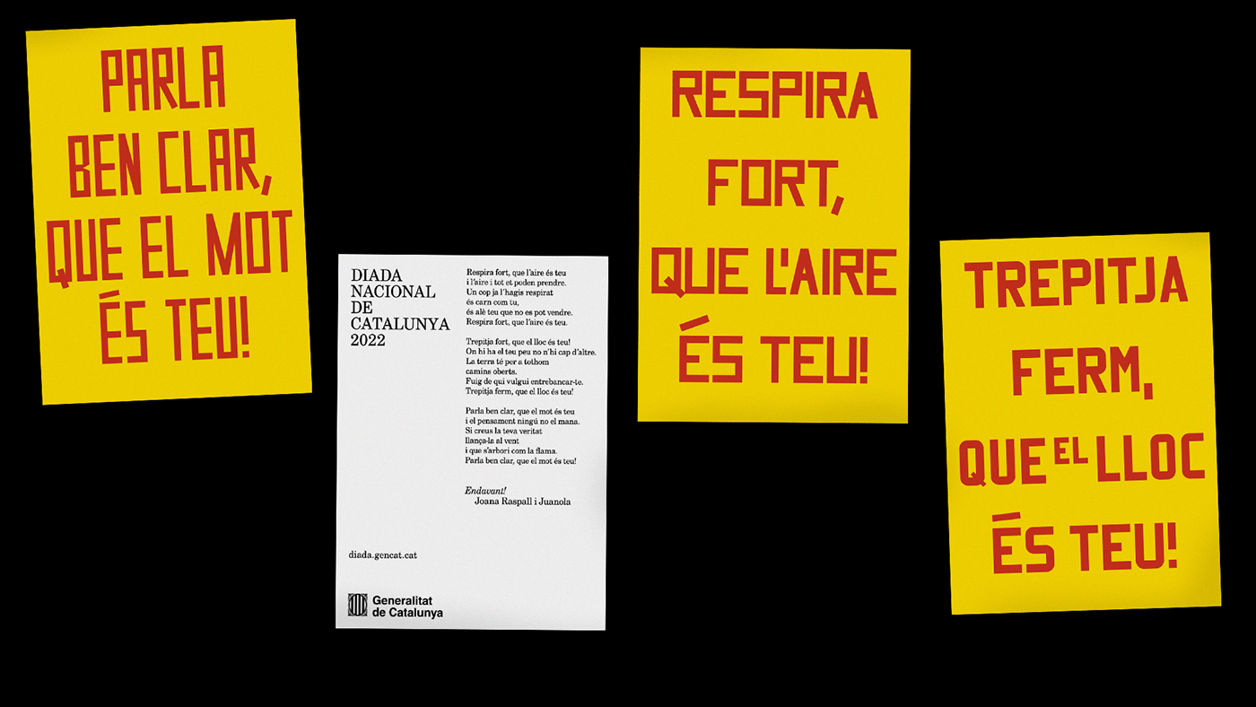 campaign cartelería graphic design  identity lettering poster Typeface vernacular