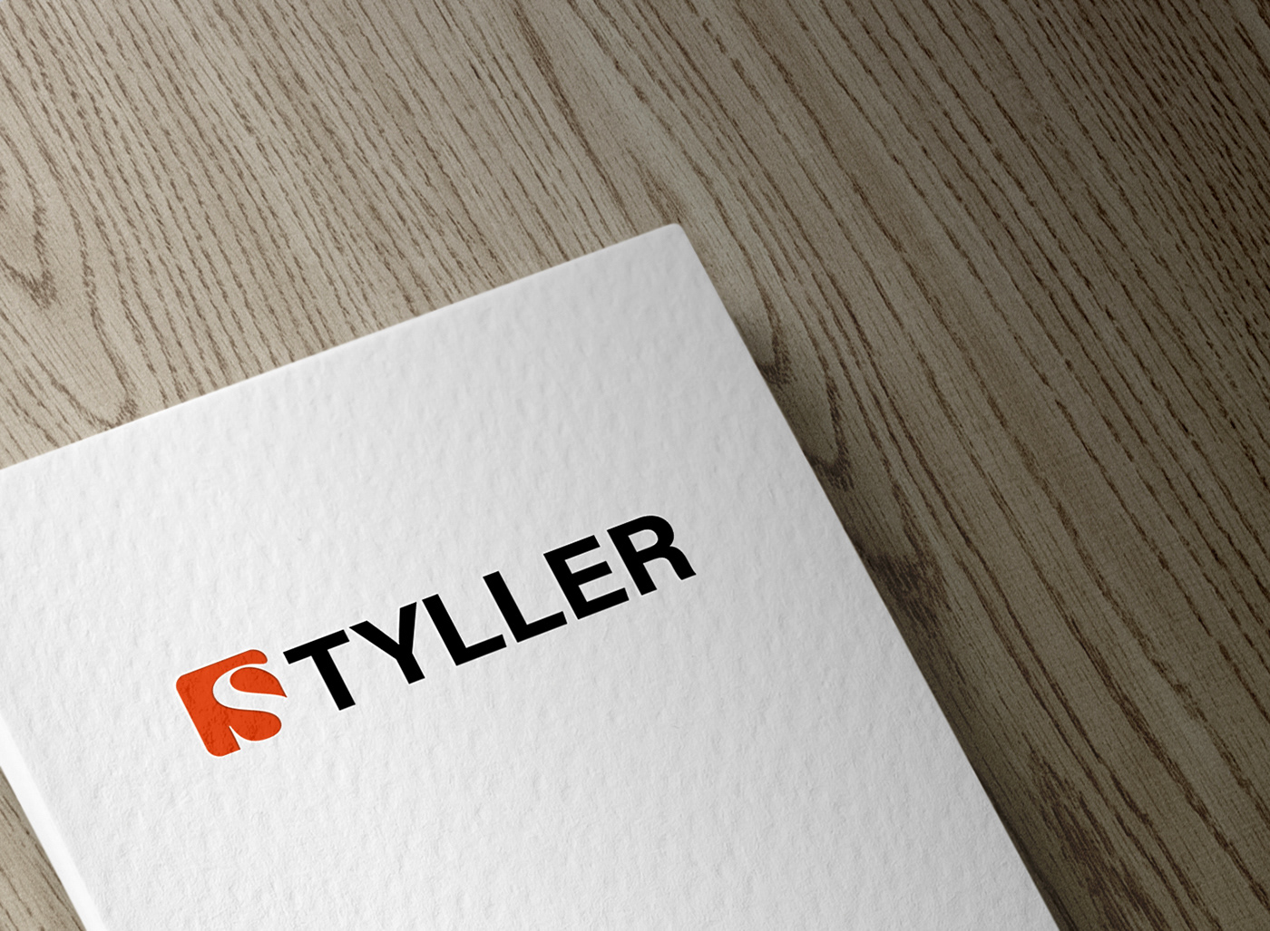 Branding design Creative Logo Design design 2021 graphic design  Logo Design Print Media Social Media Design STYLLER logo vector art vector design