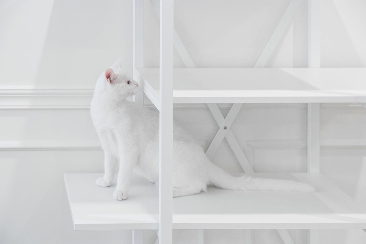 Cat Cat Tower furniture modern Pet shelves cat furniture cat shelves