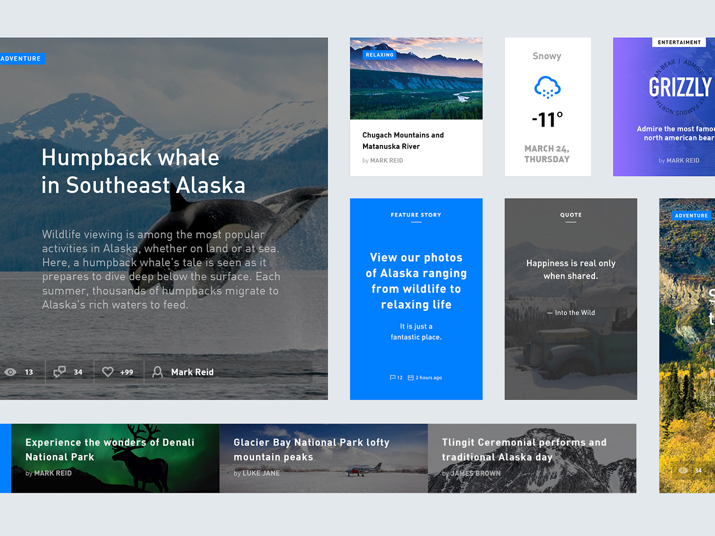 Adobe Portfolio Alaska redesign concept Website minimal design Shades colors fresh Aurora Borealis mountain Responsive devices anchorage grizzly