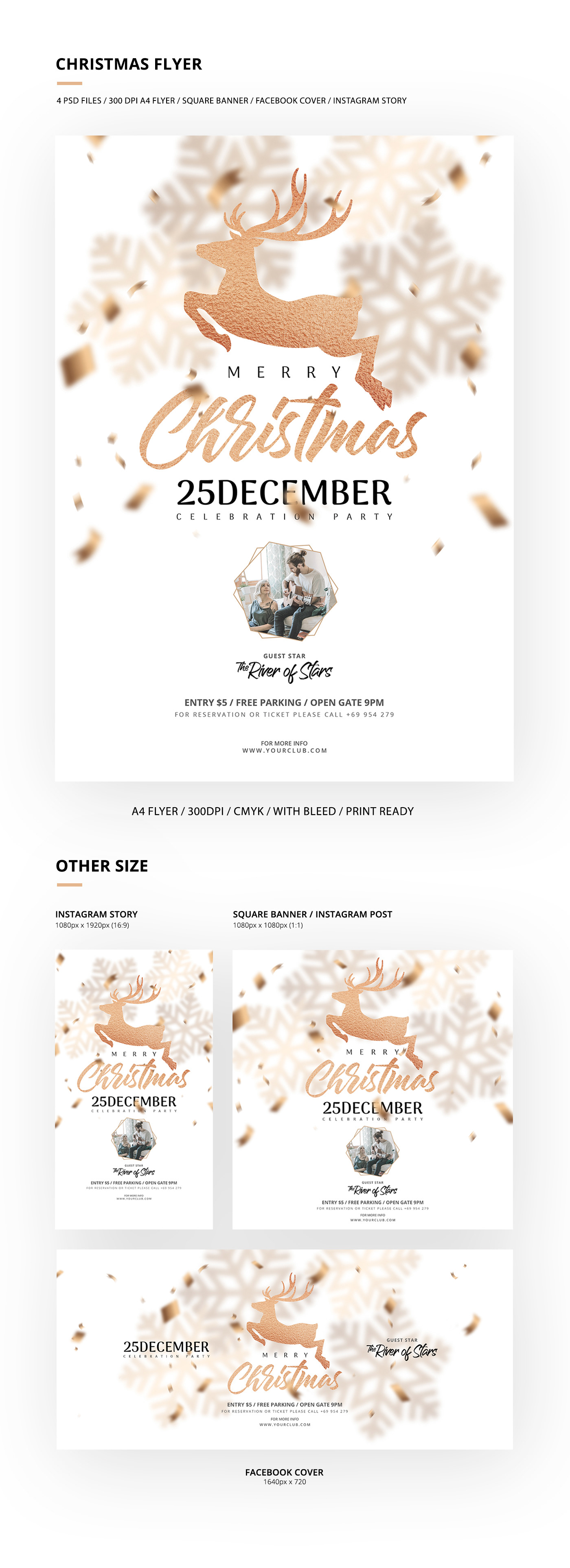 snow deer gold Instagram template facebook cover Music Festival event flyer confetti typography   luxury