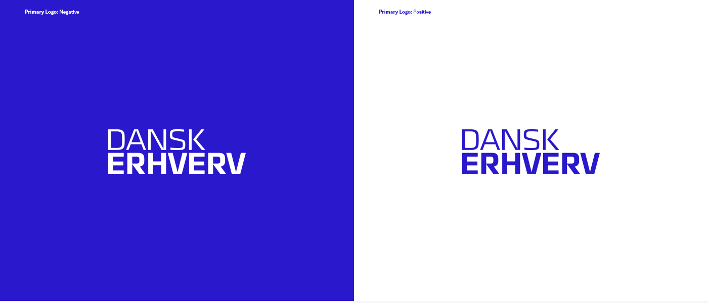 branding  redesign visual identity blue denmark Corporate Design brandmanual UI ux pattern