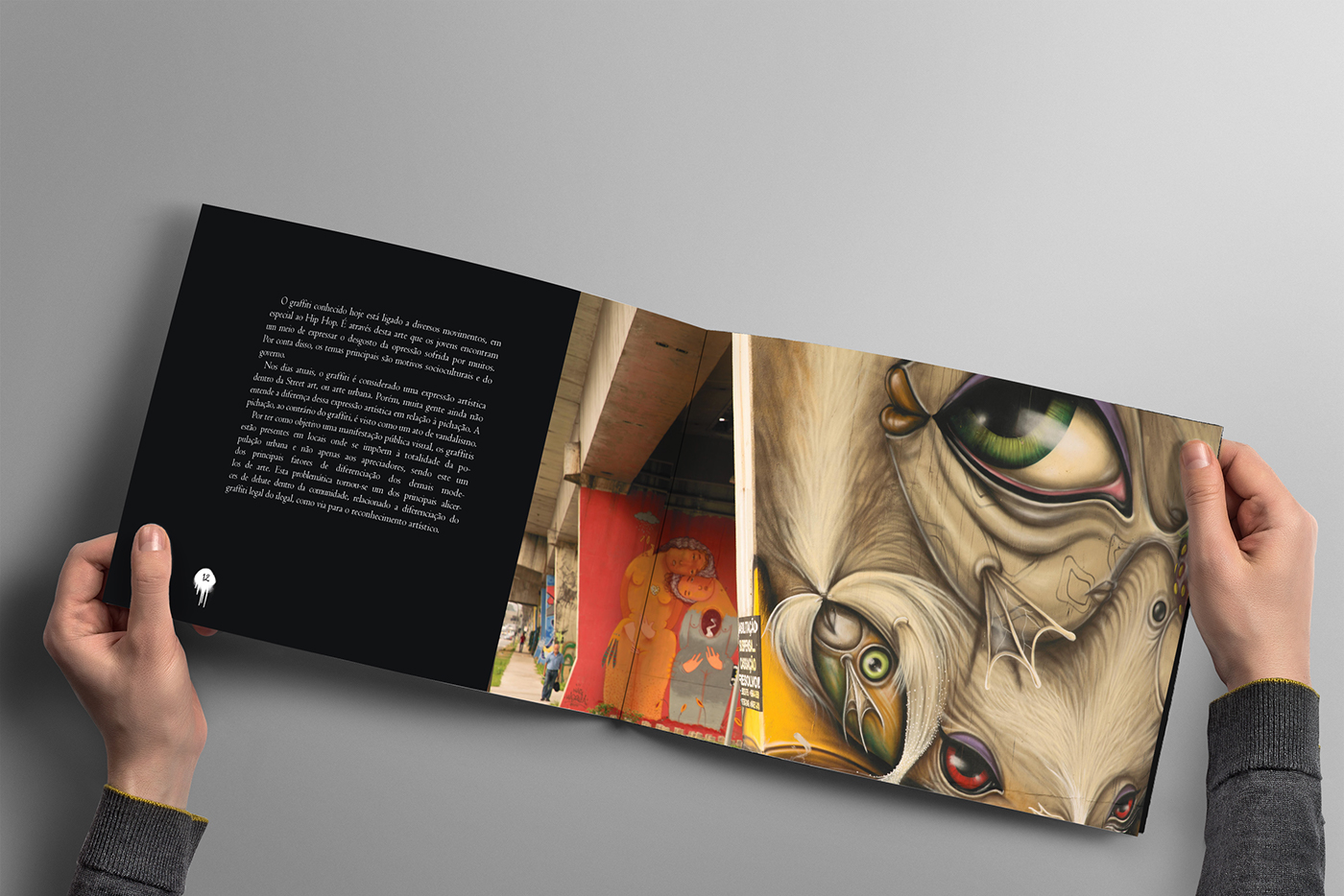 design editorial grafitte impresso offline Livro