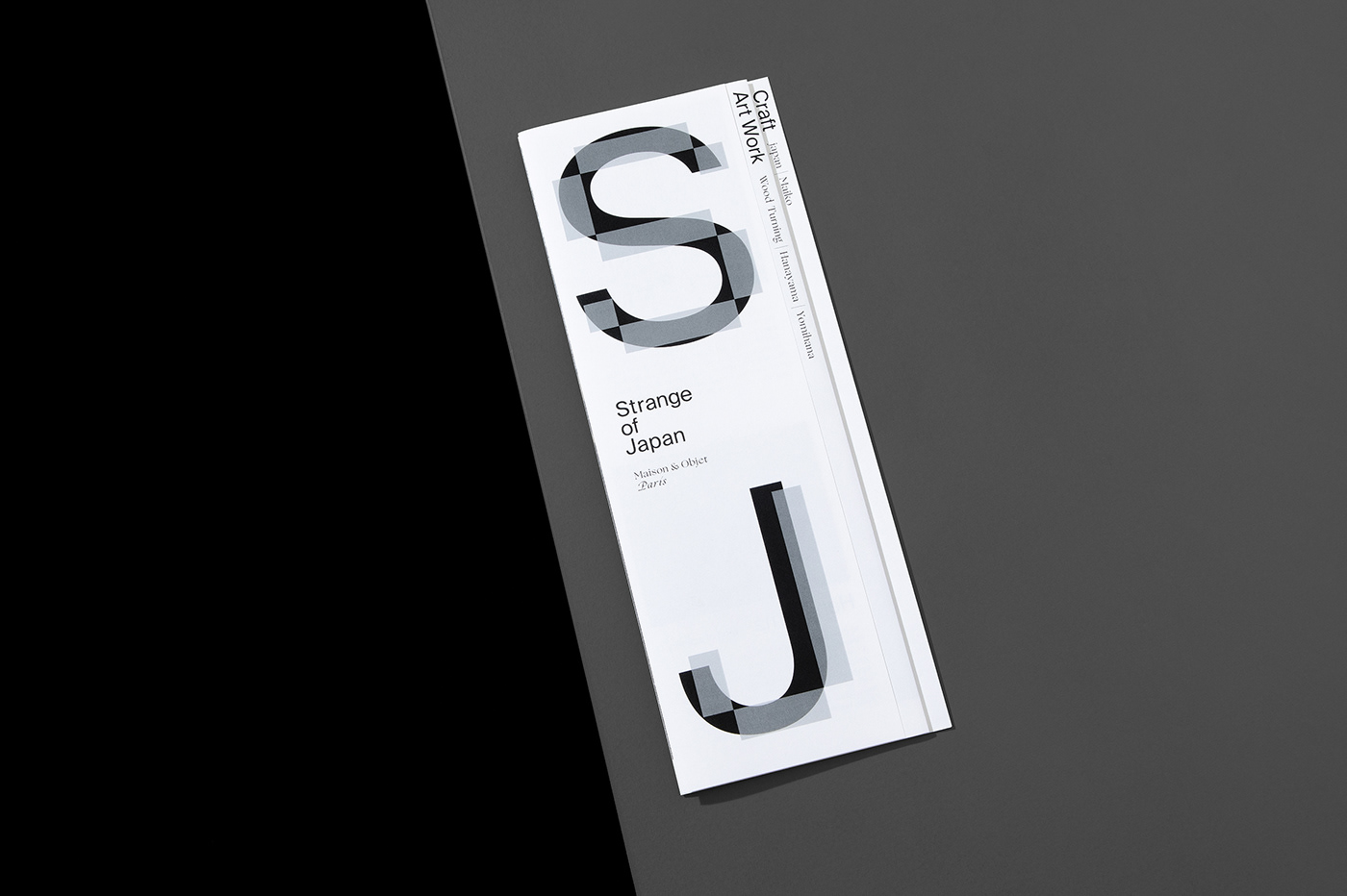 Branding design brand identity Logo Design visual identity Brand Design graphic design  art direction  typography   art japan