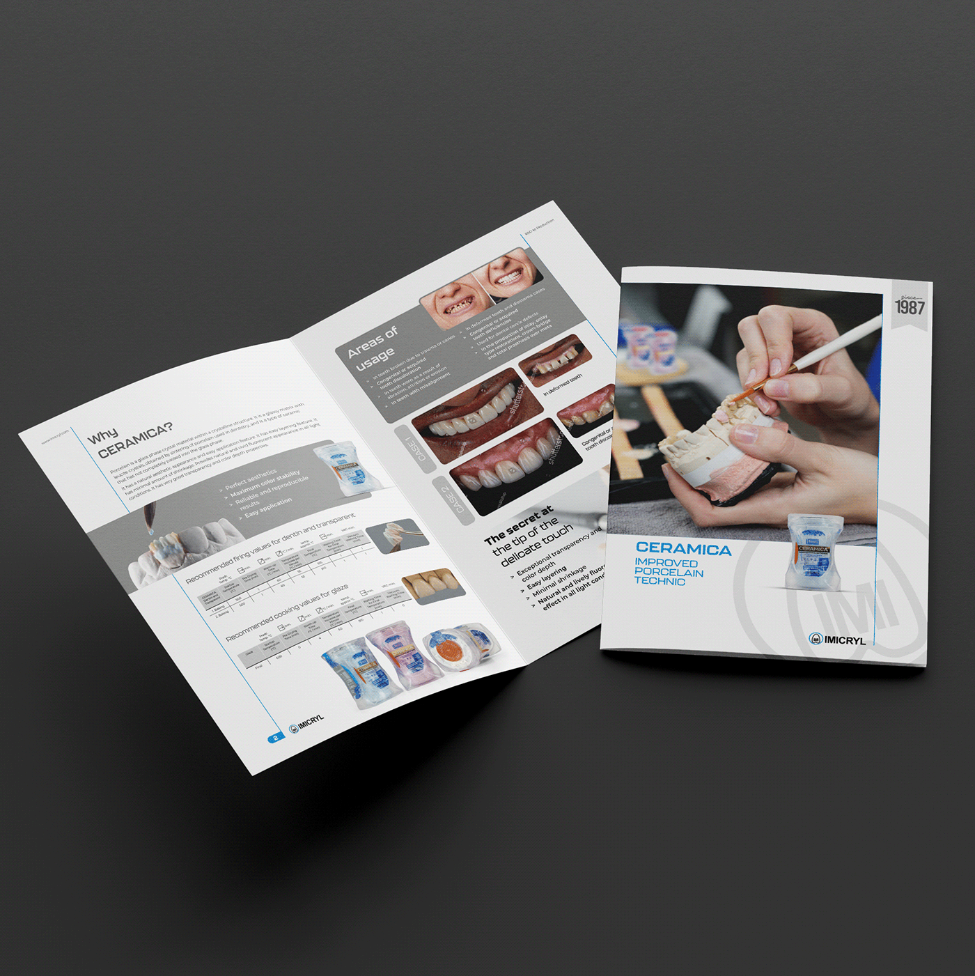 Advertising  brochure brochure design campaign Catalogue dental dental brochure Dental Flyer dental product