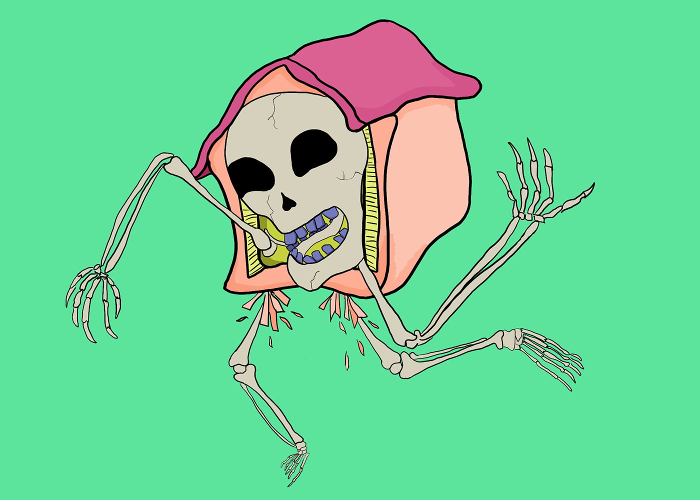 bold bright colorful funny humor ILLUSTRATION  skeleton skull