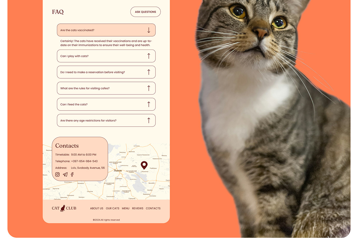 Cat cafe cat cafe  Web Design  UI/UX landing page Figma animals design pets