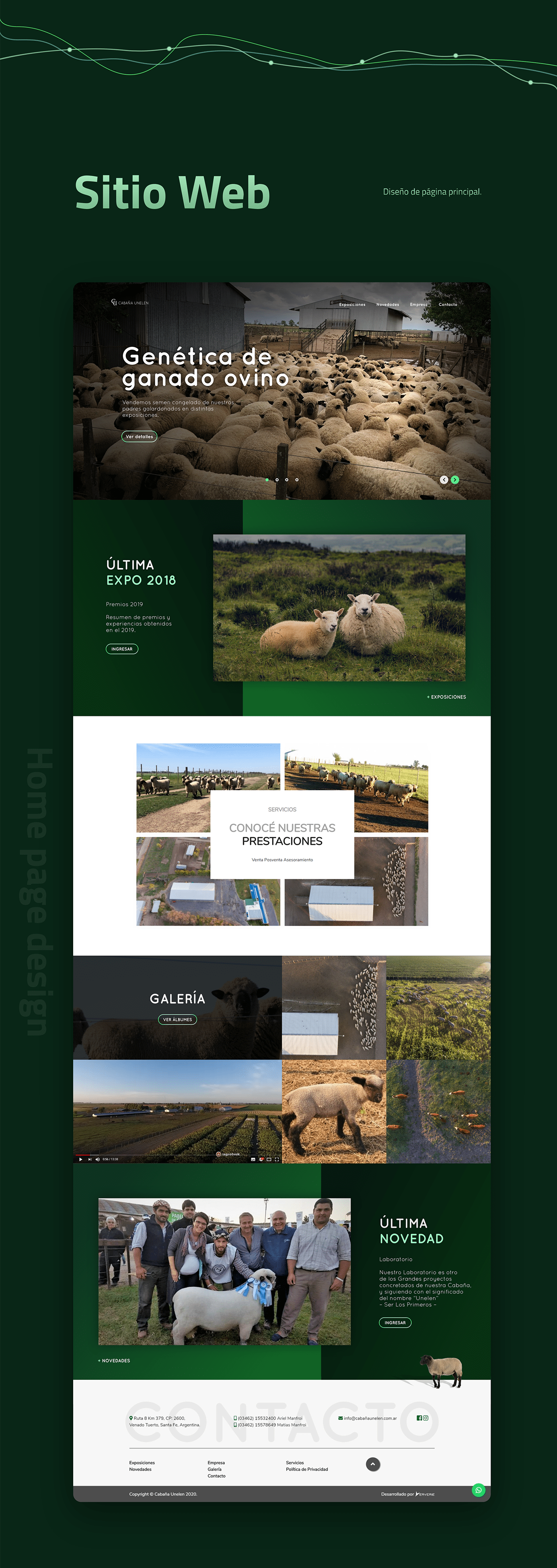 design interfacedesign landingpage sheep UI ux Web Web Design  Webdevelopment Website