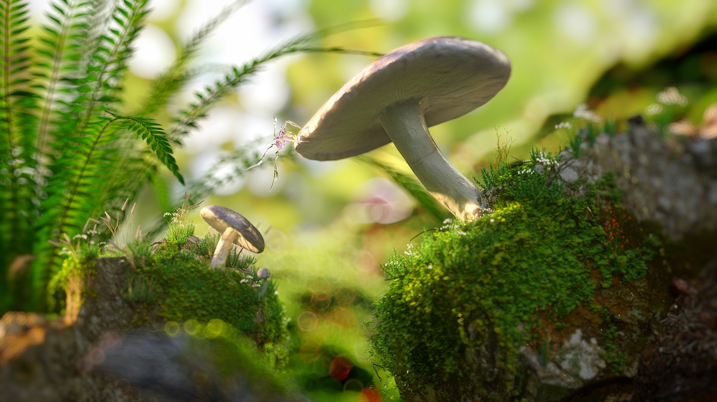 MegaScans forest green insect spider mushroom tutorial learn octane c4d