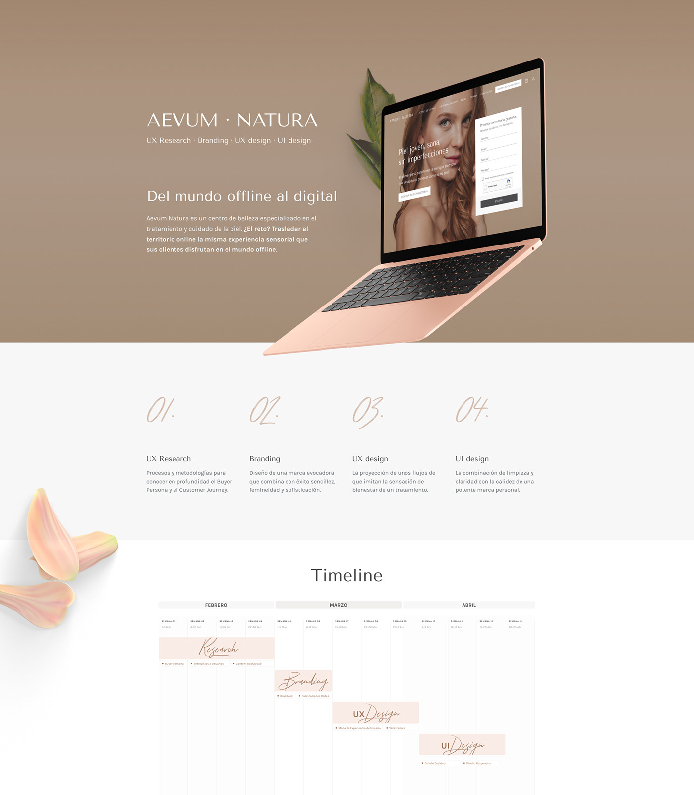 Branding Identity CaseStudy Ecommerce Fashion  UI/UX user experience user interface ux UX design Website