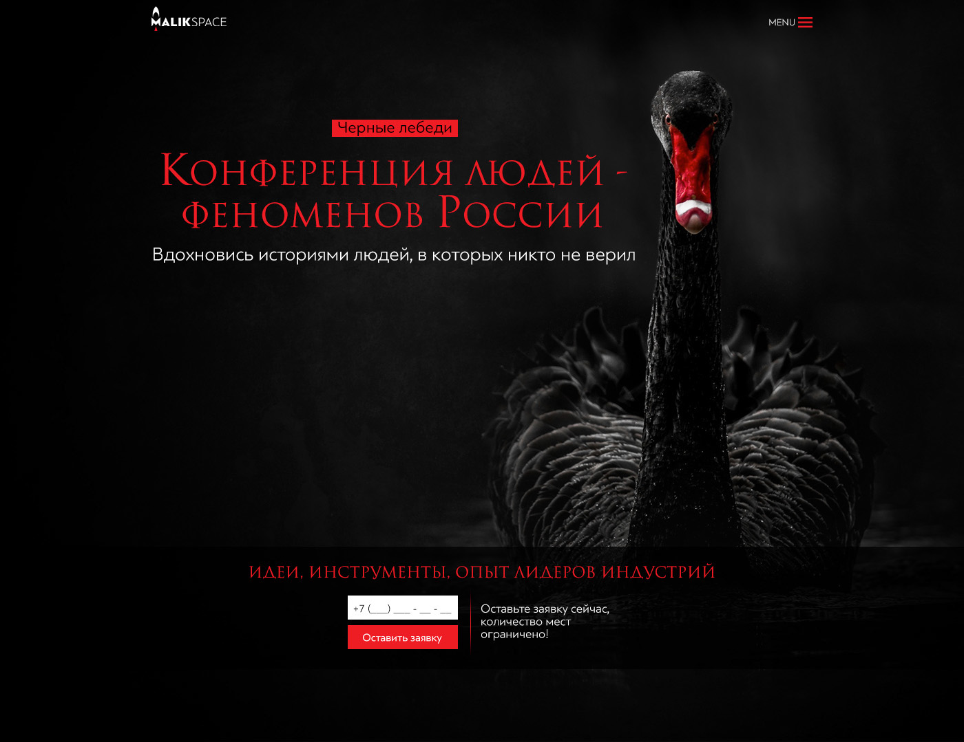 Event black swan black swan landing page Web design