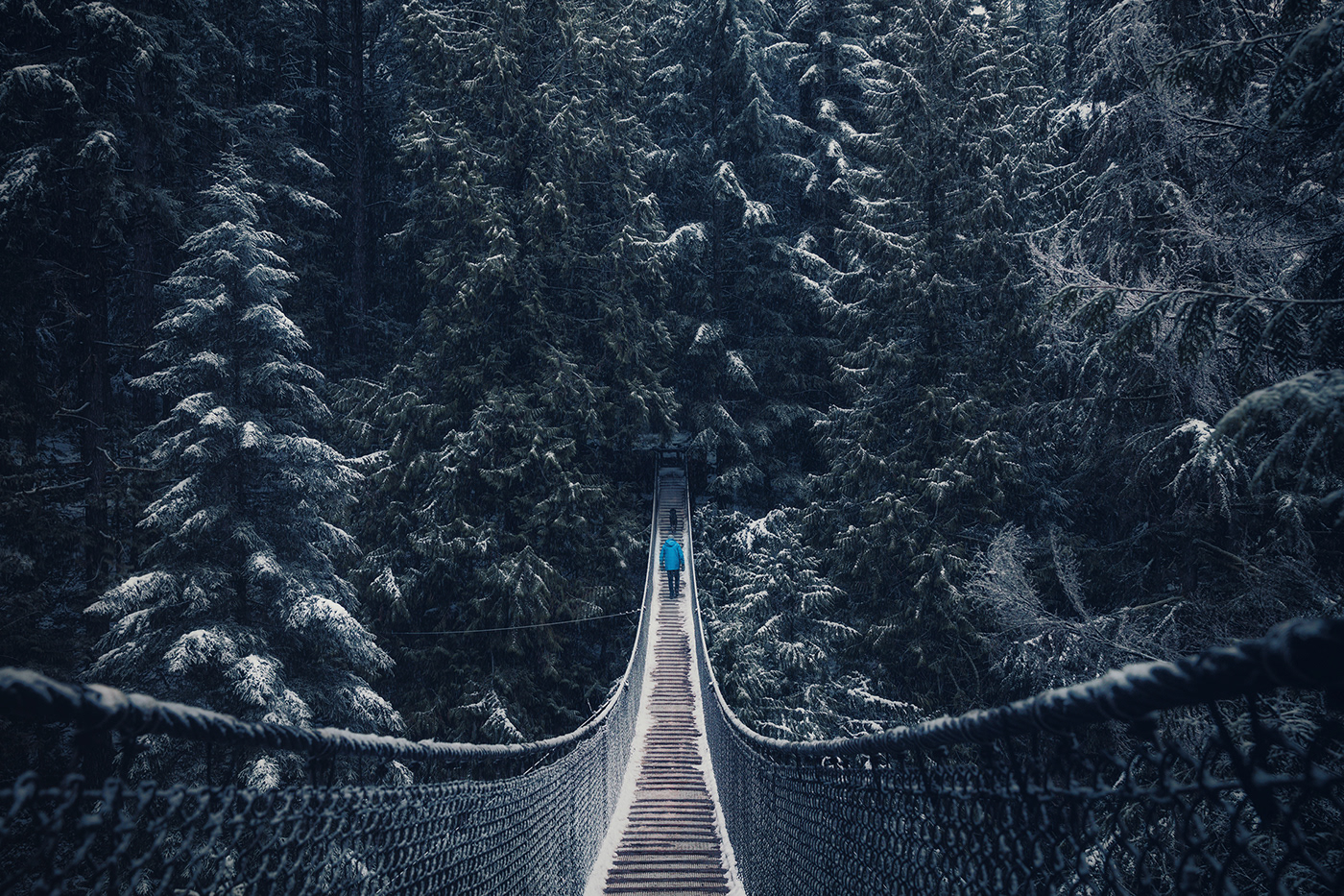 snow winter vancouver Canada Nature Landscape Photography  forest Sony mood