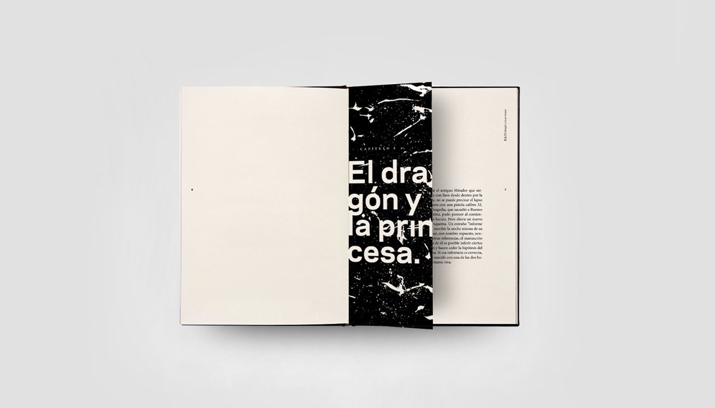 graphic design  editorial design  book cover