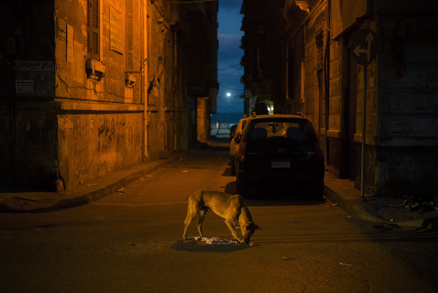 photojournalism  journalism   street photography Documentary Photography documentation