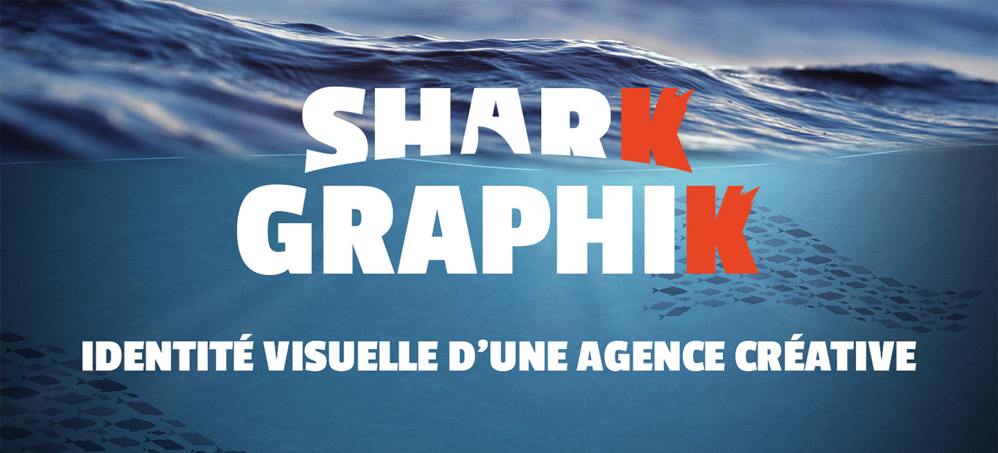branding  identité visuelle shark graphik logo site web design UI/UX Design Webdesign poitiers e-commerce