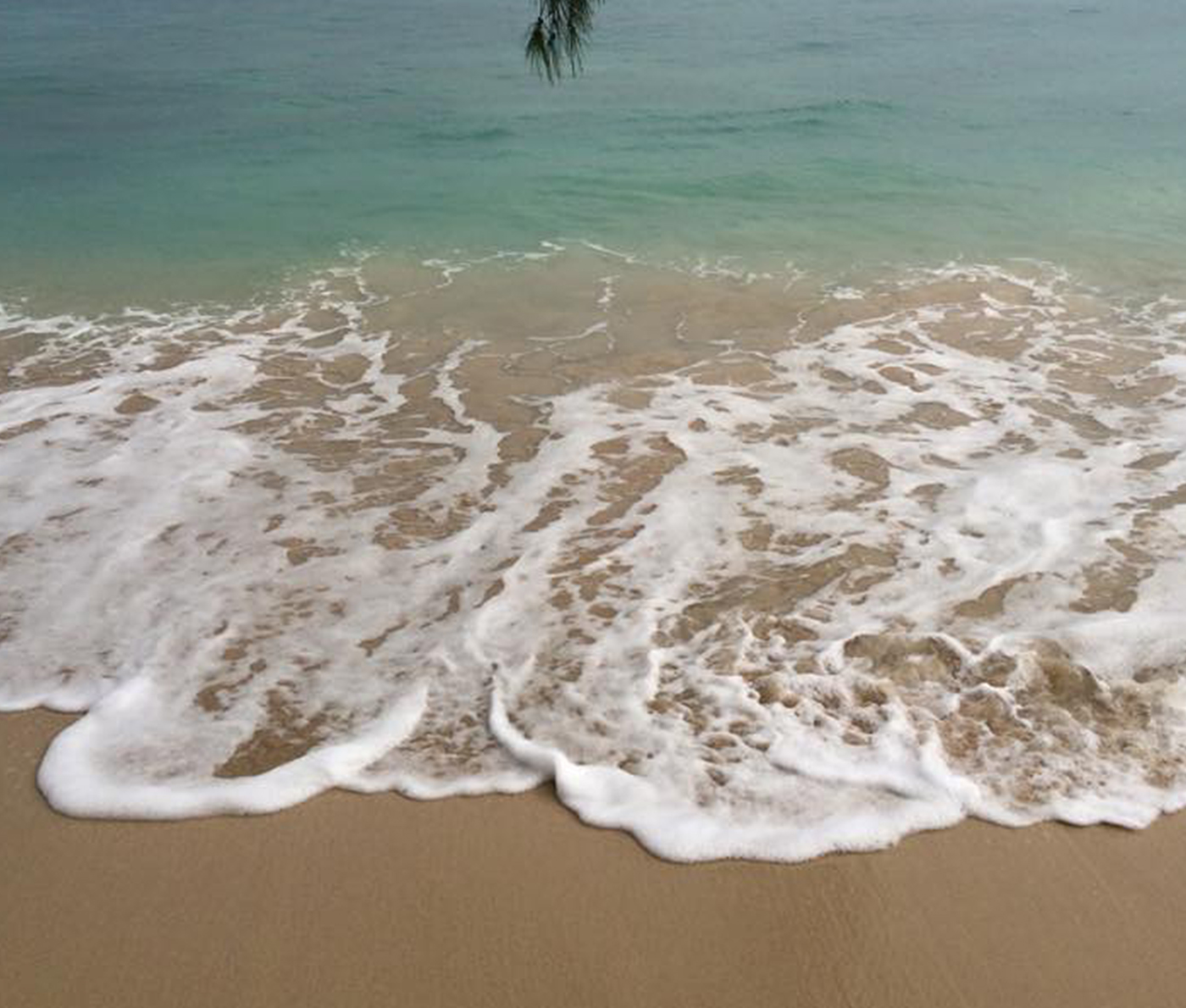 water sea beach Barbados Caribbean