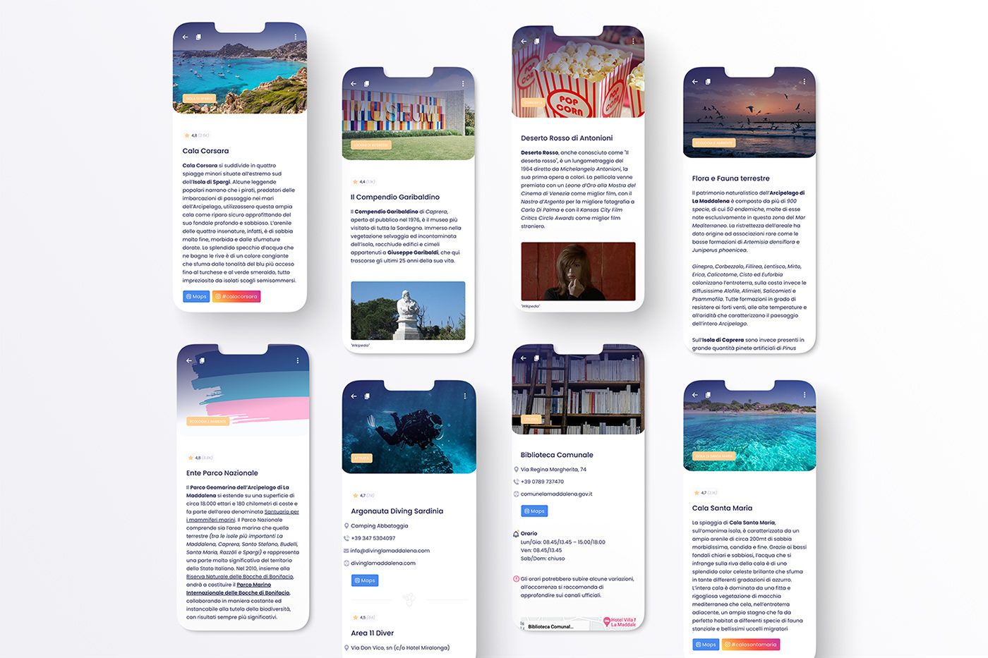 app app design graphic design  user interface ux/ui Website