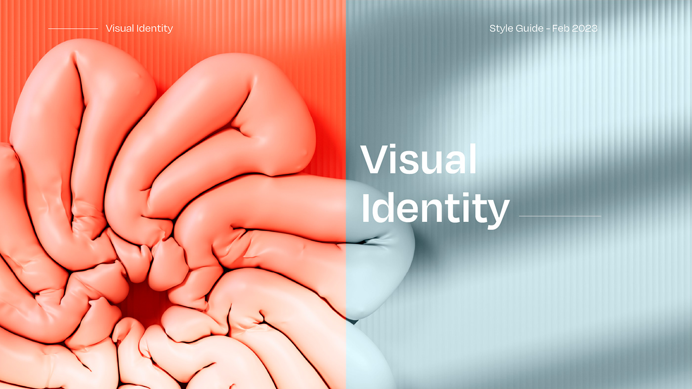 Brand Design brand identity branding  identidade visual identity Identity Design logo Logo Design logos visual identity