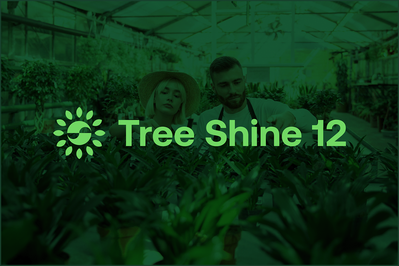 brand identity Tree plantation Logo Design agriculture
