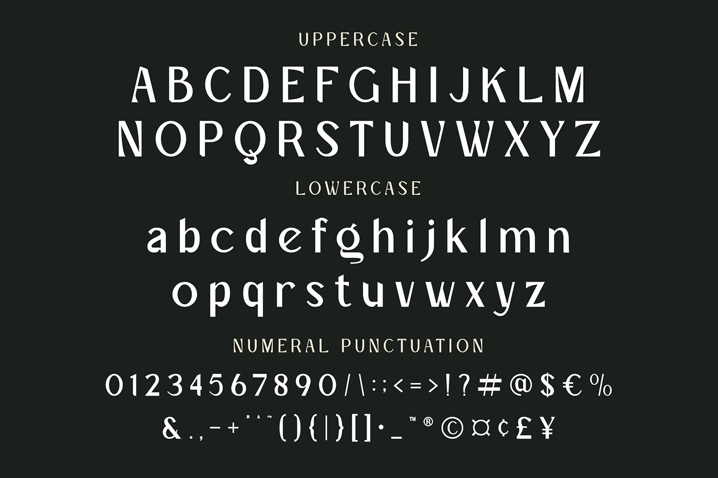 Advertising  brand identity design display font font Free font sans serif Typeface typeface design visual identity
