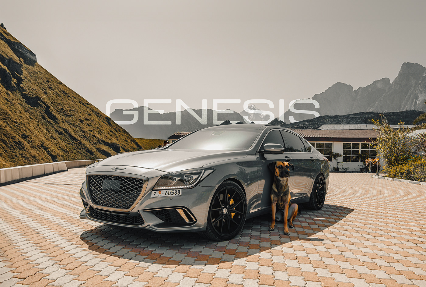 car marketing   Social media post ads genesis Photography  photoshop designer lightroom Editing 