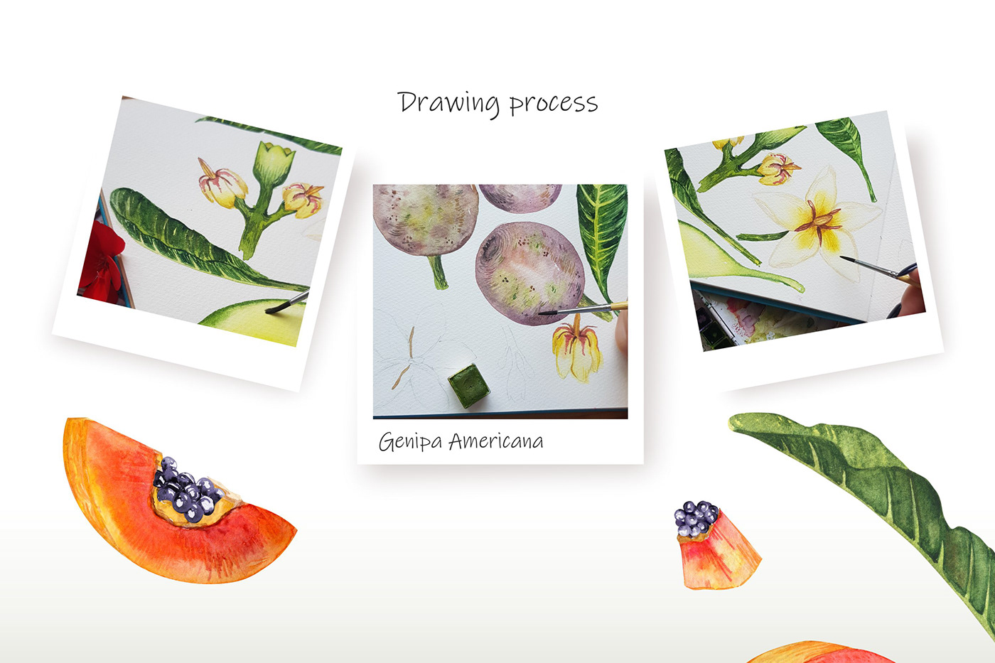 watercolor Fruit Tropical pattern textile pattern design  Drawing  botanical ILLUSTRATION  Graphic Designer