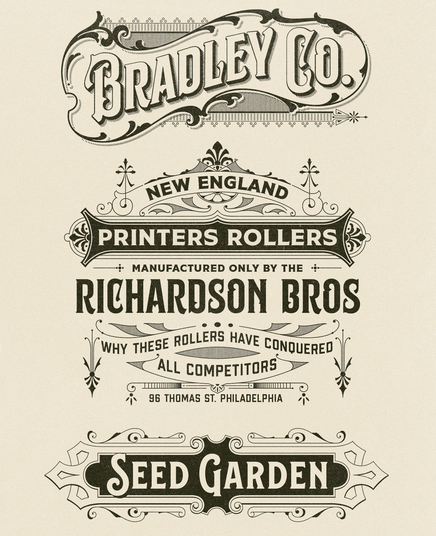 antique branding  font lettering logo panel Signage typography   Victorian vintage