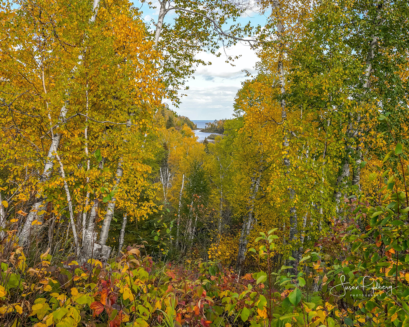 autumn colorful Fall gooseberry falls Gooseberry River Lake Superior Landscape minnesota north shore woods