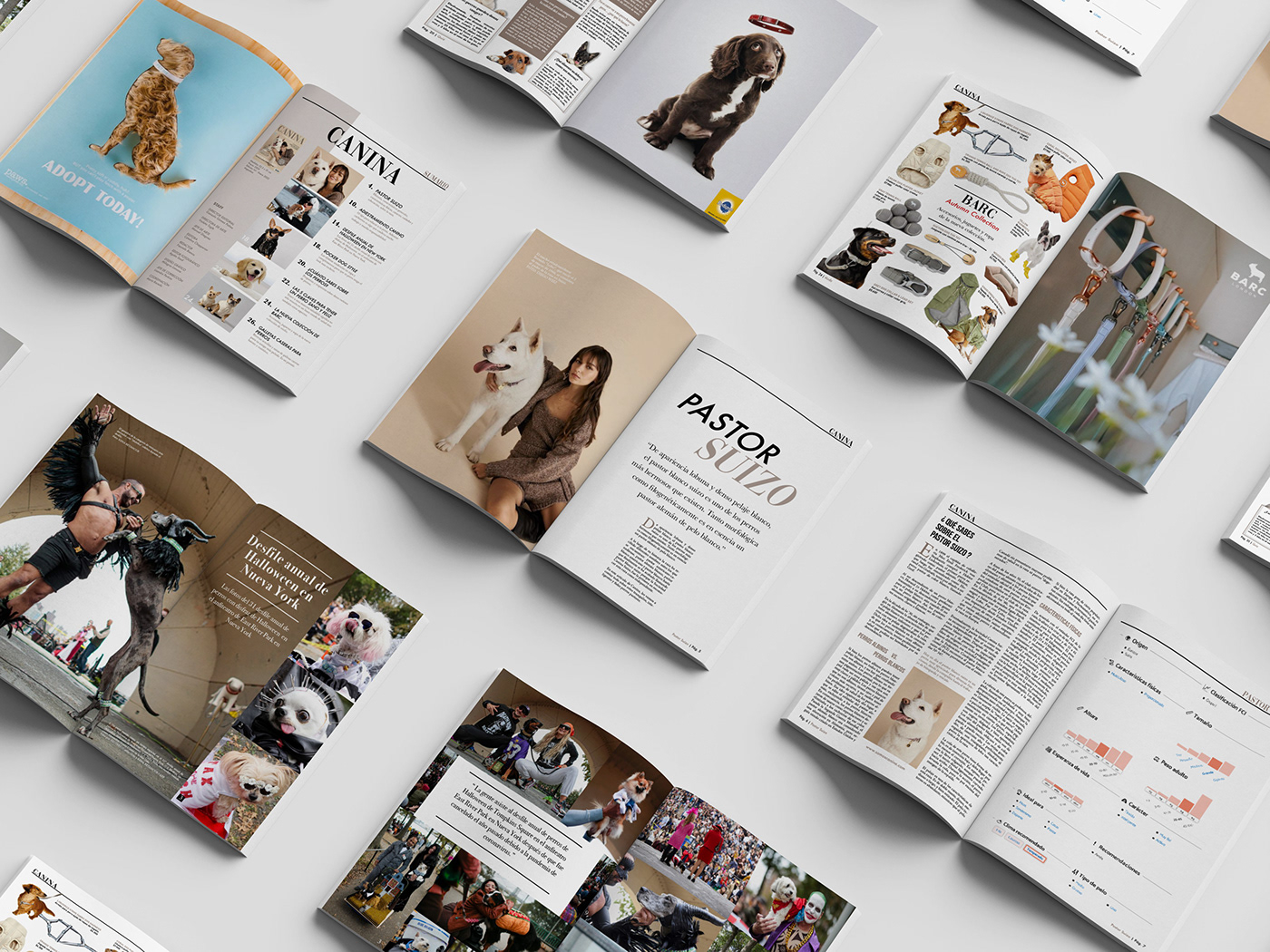 design magazine redesign editorial