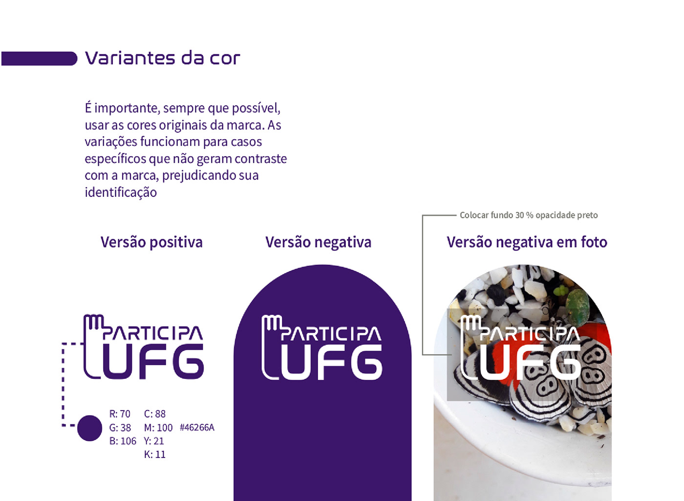 branding  design Design de Marca identidade visual Manual da Marca marca UFG brand