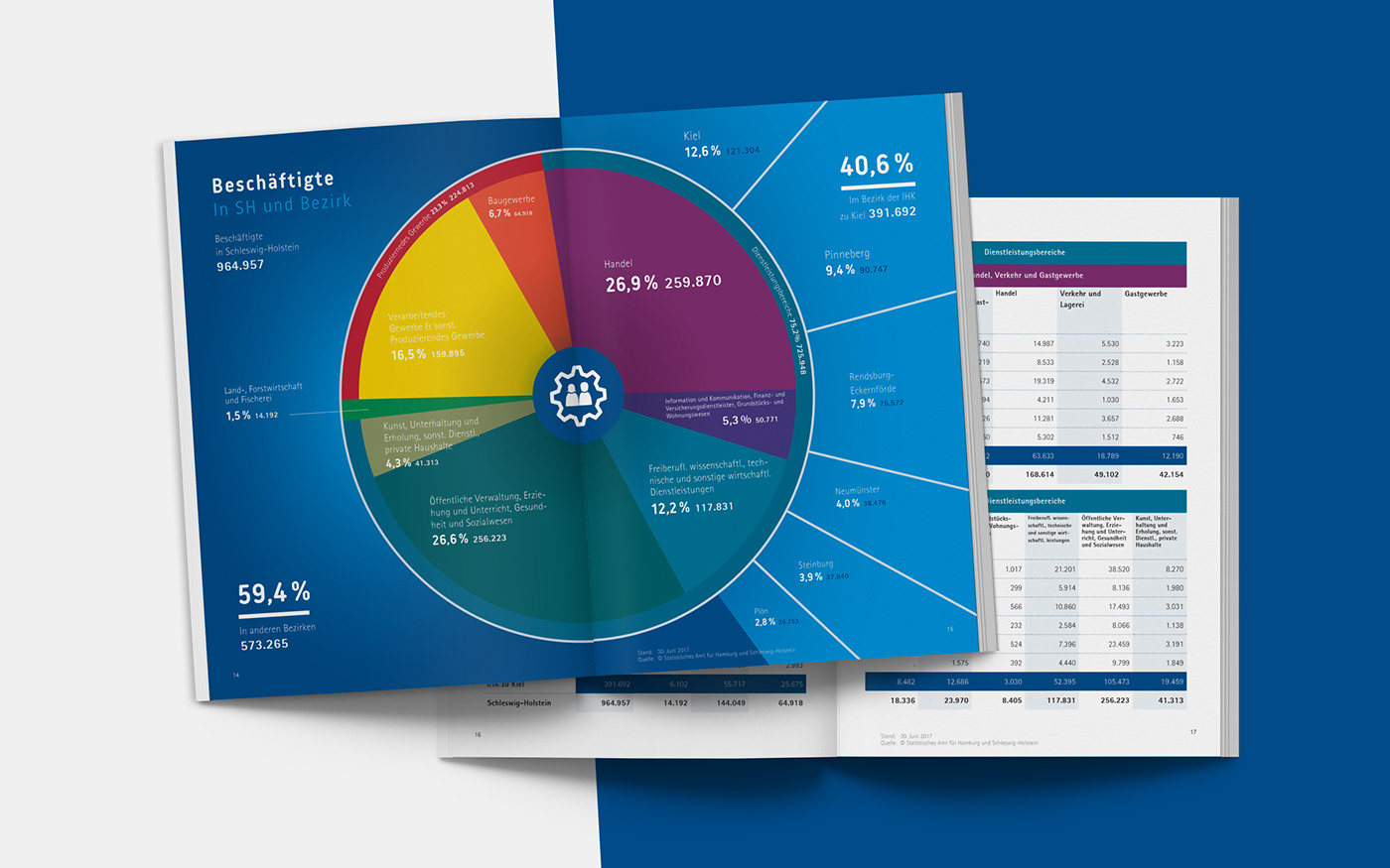 data-visualisation graphic-design infographic institution print flyer