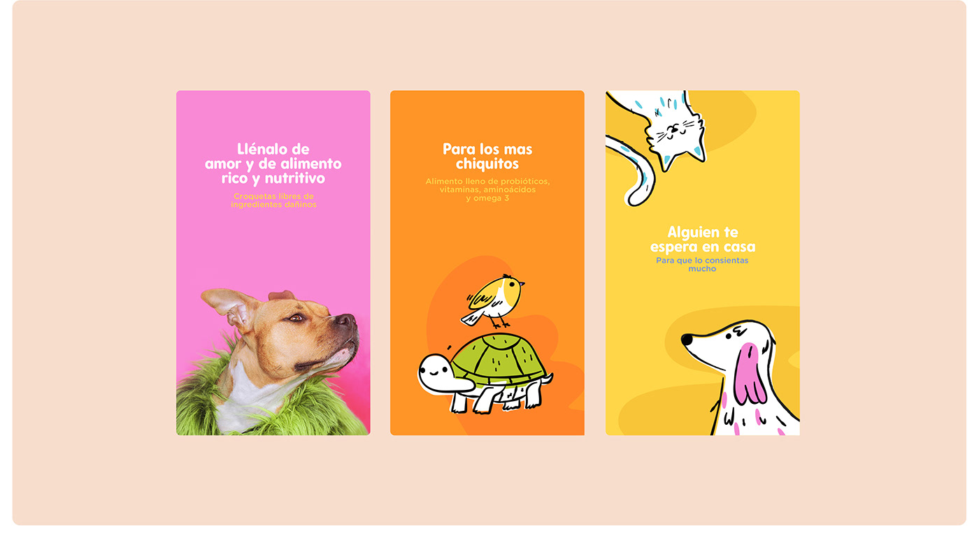 branding  brand identity Logo Design ILLUSTRATION  Pet colorful minimalist logo dog store
