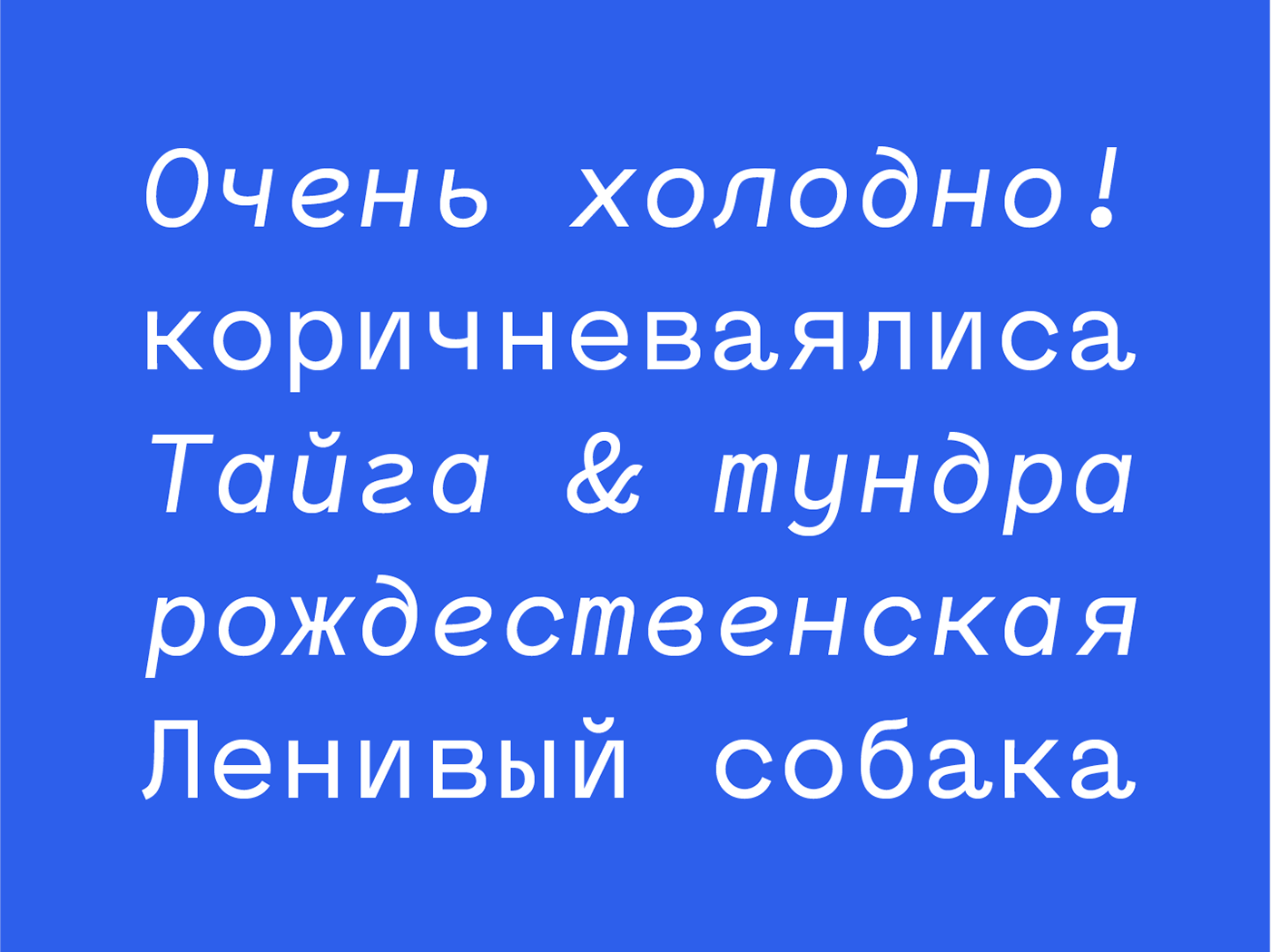 Typeface type font Mono monospace monospaced Menoe Mene Grotesque Menoe Grotesque sans sans serif grotesque hungarumlaut #TYPO16xAdobe
