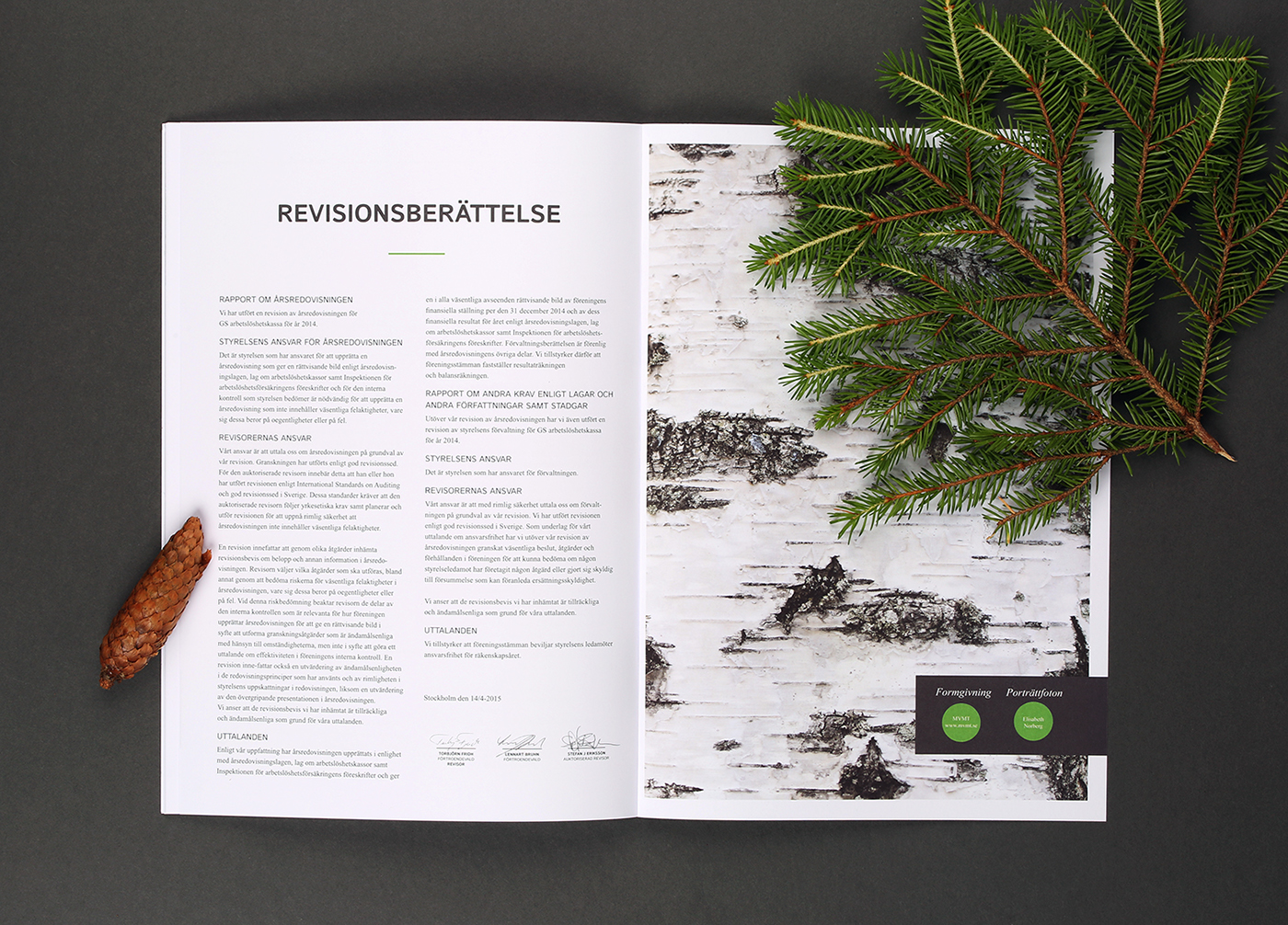 Layout print editorial infographics brochure forest wood report