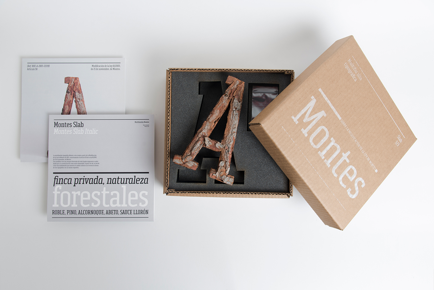 Packaging typography   wood specimen letters font