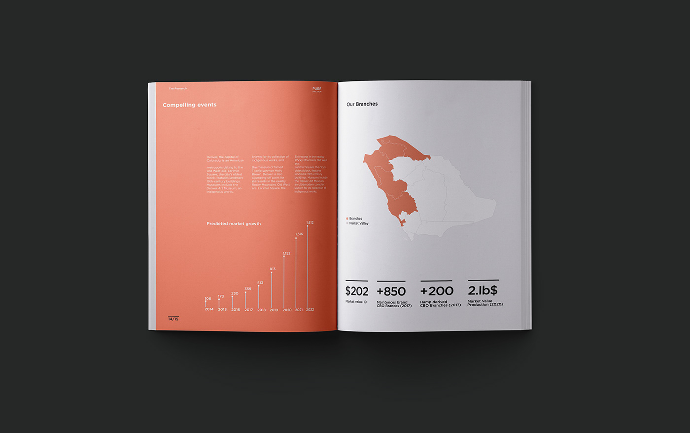 book brochure design company profile editorial design  Layout print profile