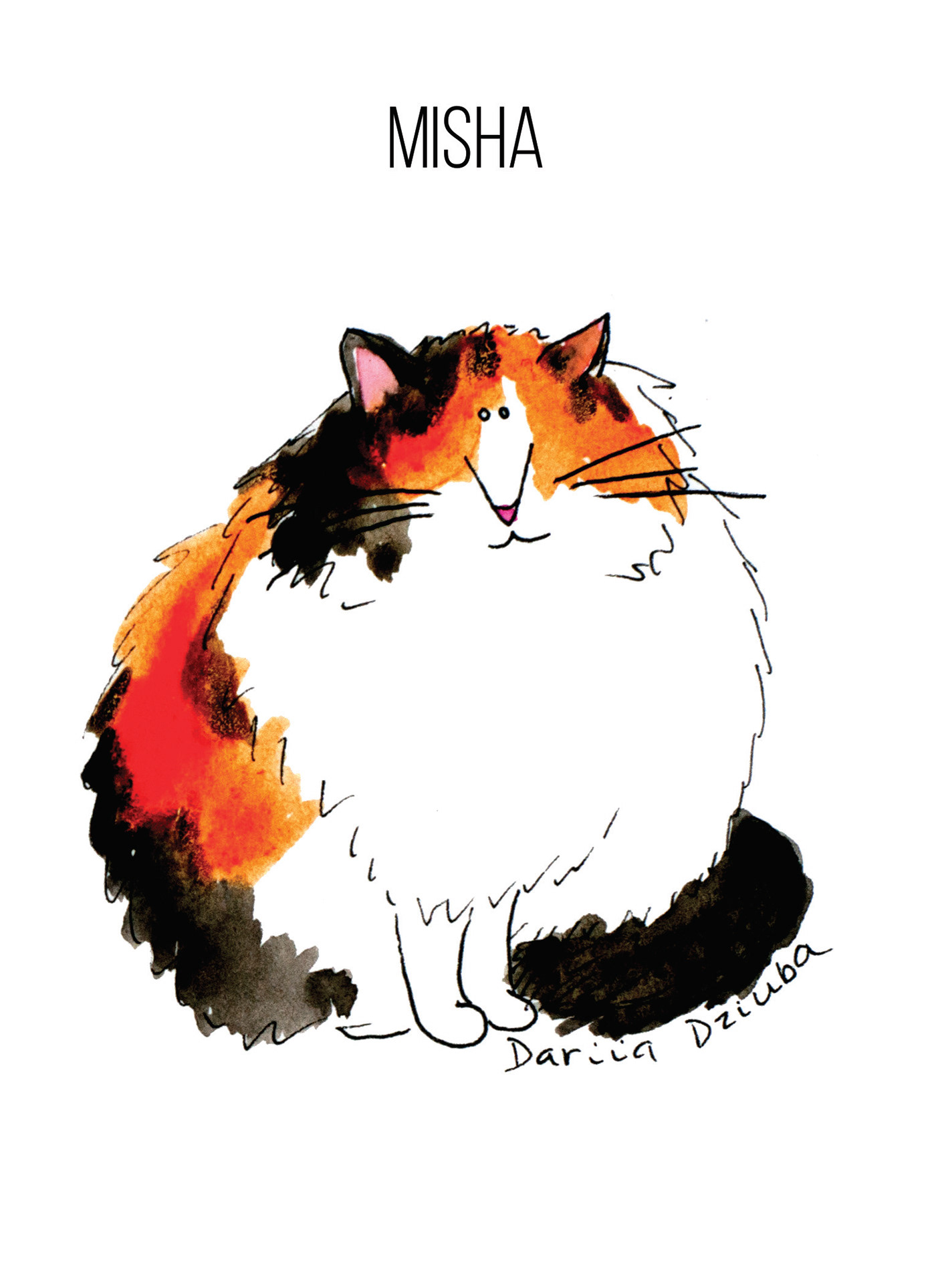 cats characterillustration illustrationofcats watercolor watercolour
