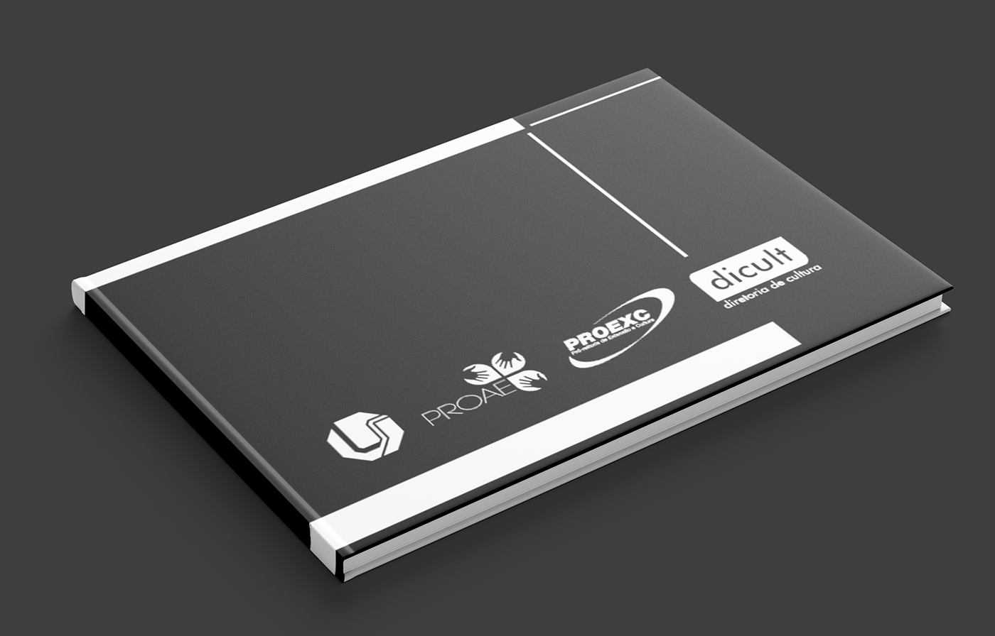book book cover book design diagramação editorial InDesign Layout print Graphic Designer