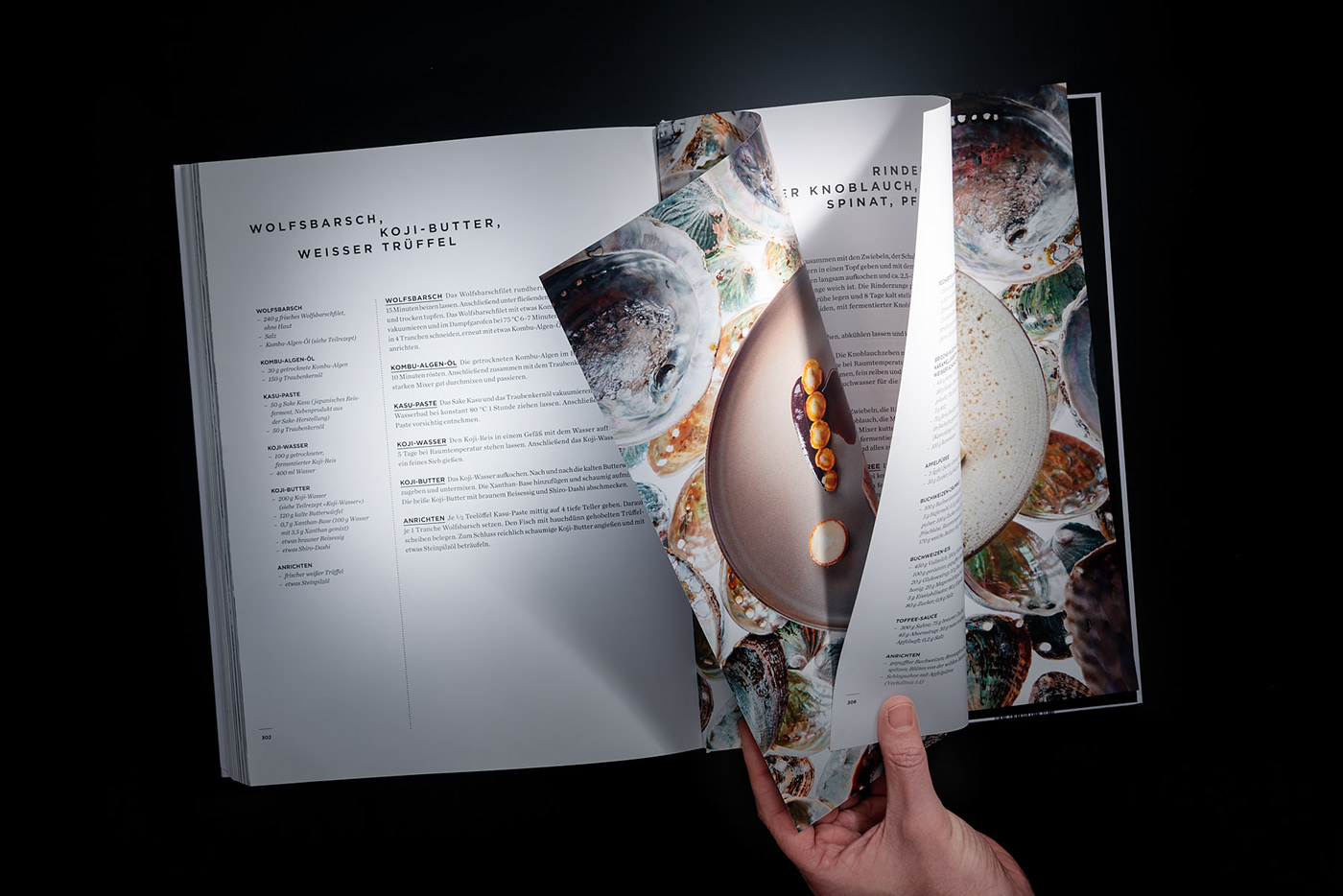 cookbook Culinary Ikarus salzburg austria Food printdesign cook