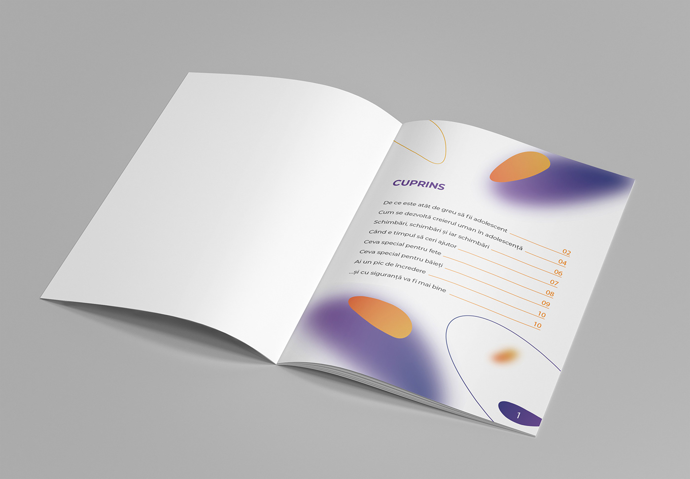 brochure brochure design brochures editorial design  InDesign Layout Layout Design magazine print typography  