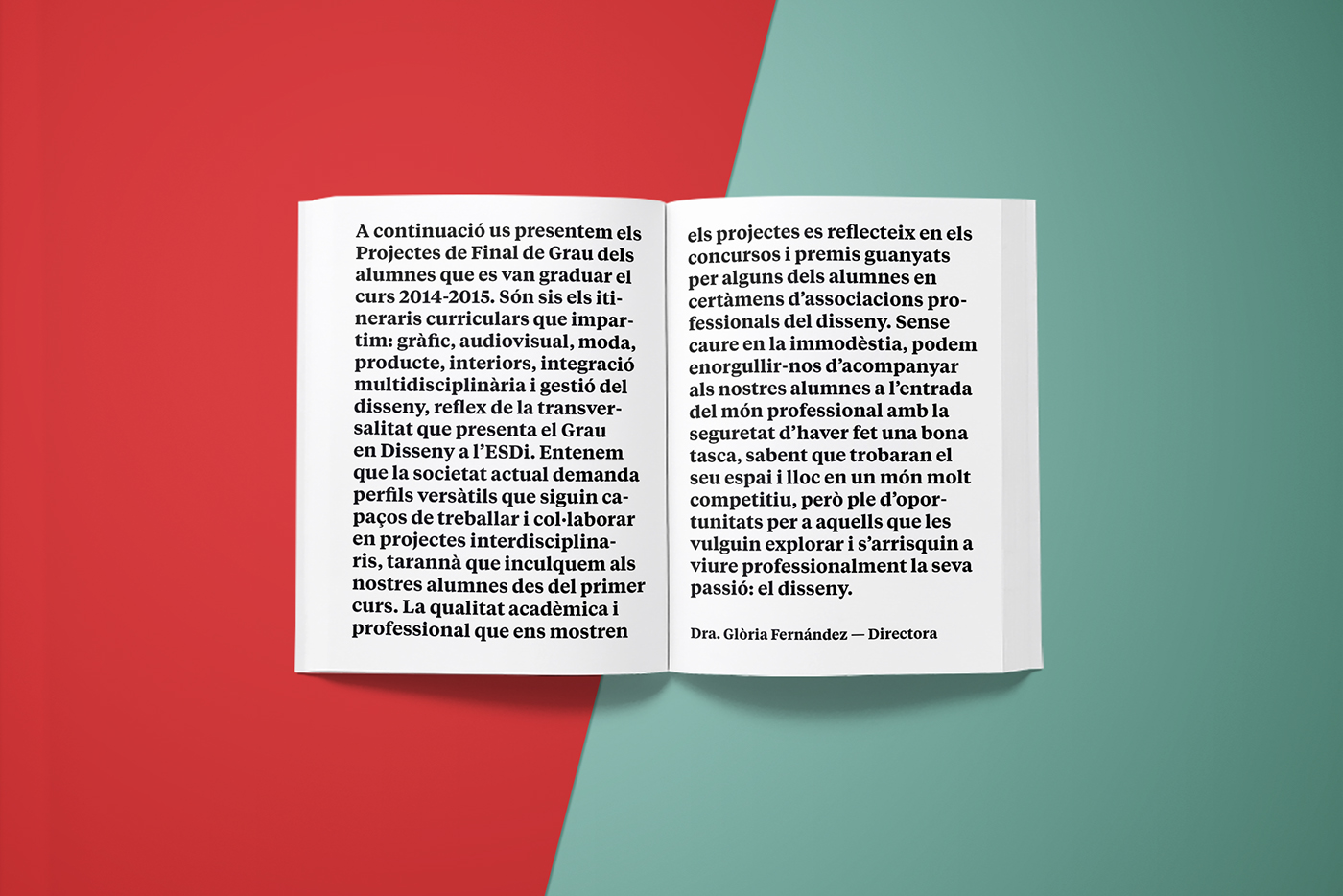 Diseño editorial tipografia book PFG