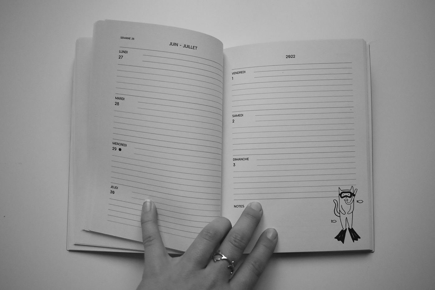 2022 Calendar agenda Diary diy project ILLUSTRATION  journal notebook Photography  planner reliure