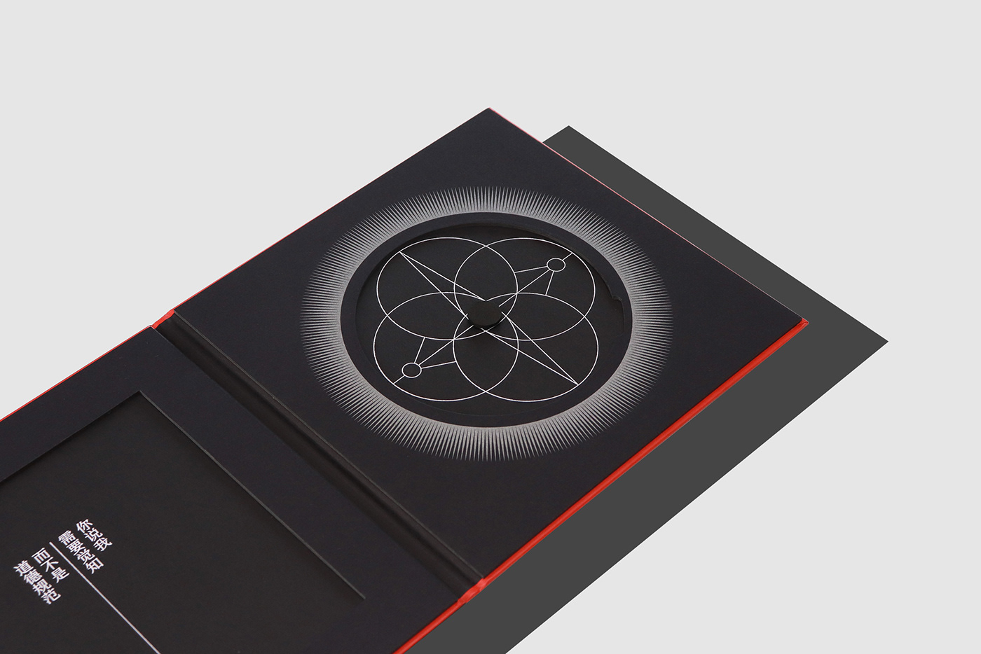 Album album cover artwork design music Packaging typography   visual identity